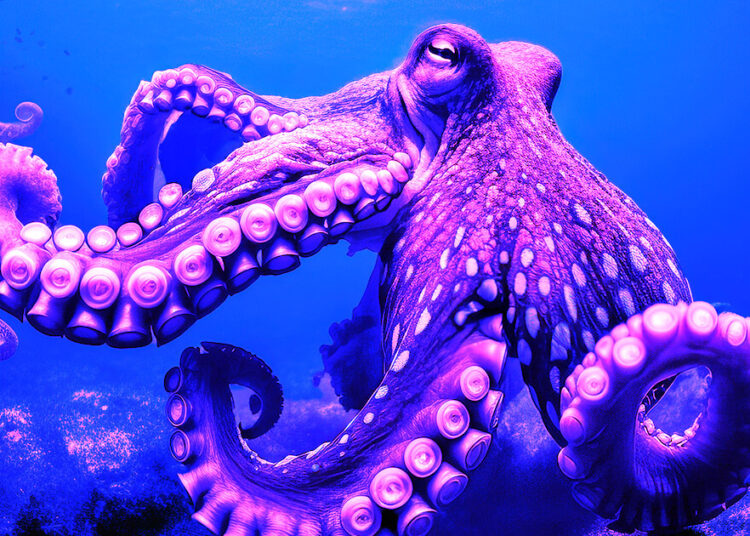 Kraken secures MiFID license to offer derivatives trading in EU