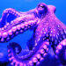 Kraken secures MiFID license to offer derivatives trading in EU