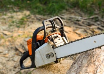 Milei Meets Musk: A Chainsaw Affair