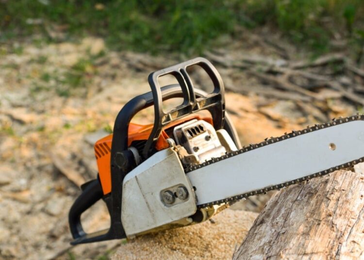 Milei Meets Musk: A Chainsaw Affair