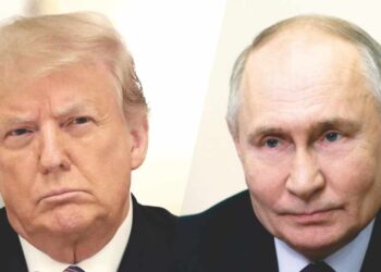 Trump and Putin Discuss Ukraine, US Dollar, and Cooperation: ‘We Agreed to Work Together’