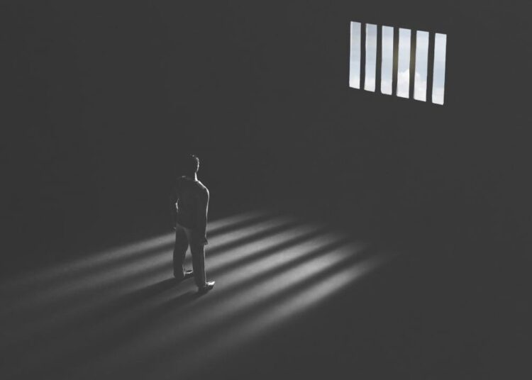 Safemoon’s Former CTO Pleads Guilty to Fraud