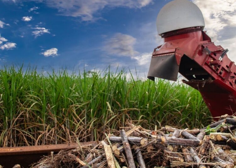 Make Farming Great Again: Tether Pushes for Majority Stake in Adecoagro