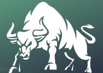 XRP Price Report: Is the Next XRP Super Rally About to Begin?