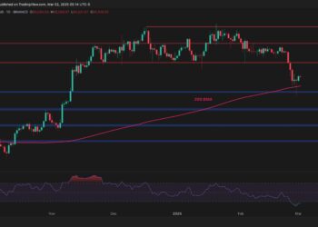 Has BTC Found Strong Support After the Recent Sell-Off?