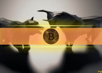 Is the Bitcoin Bull Run Over After BTC Crashed by $20K in 5 Days?