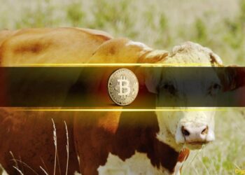 Bitcoin (BTC) Bull Cycle May Be Over: CryptoQuant CEO Warns