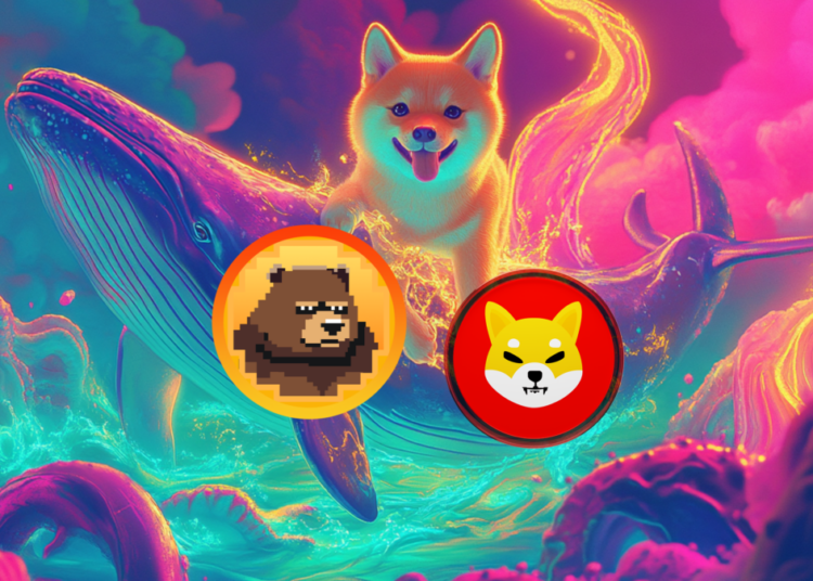 Whale Alert: Massive 2025% Inflow into Shiba Inu (SHIB), What’s Next?