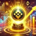 BNB Price Surges as Mubarak Fuels Binance Smart Chain Rally