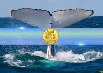 4 Bullish Indicators Suggest Dogecoin (DOGE) Is Ready to Rally