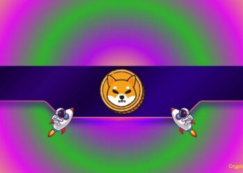 Shiba Inu (SHIB) Soars by 16% Daily: What Drives the Surge?