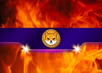 SHIB Burn Rate Goes Parabolic — What’s Fueling the Fire?