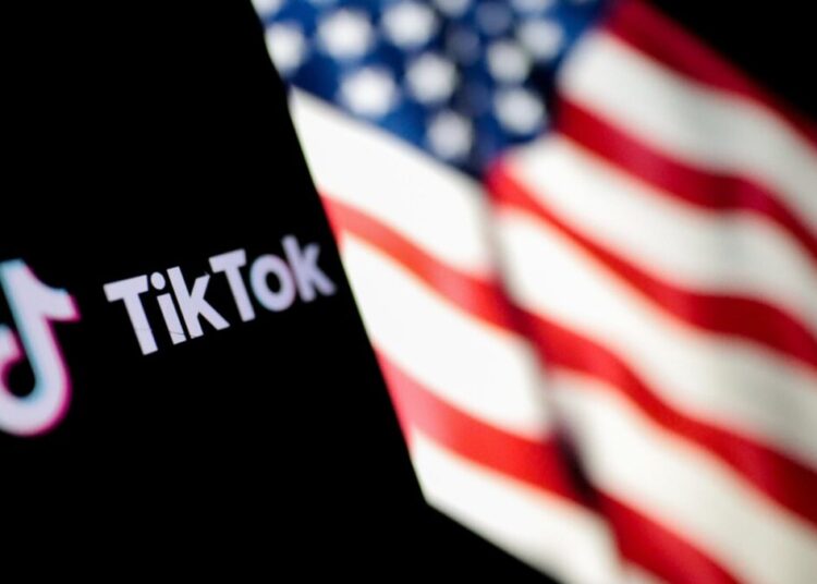 Reddit Co-Founder Backs Blockchain Plan in TikTok Acquisition Bid
