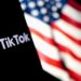 Reddit Co-Founder Backs Blockchain Plan in TikTok Acquisition Bid