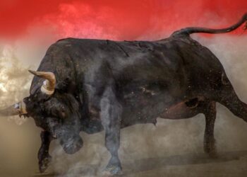 Bitcoin Surges Toward $90K as Market Sentiment Turns Bullish