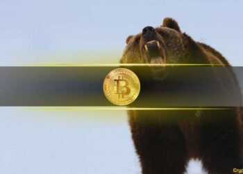 Big Whales And Sharks Rebuilding Positions, Time to Buy Bitcoin?