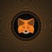 Metamask Launches Crypto Card in Argentina