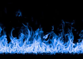 Venice Burns One Third of Total Token Supply