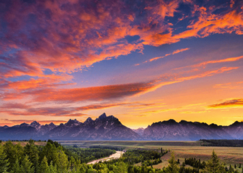 Wyoming Stablecoin: Chainalysis, Inca Digital Selected to Help Detect Illicit Use of WYST