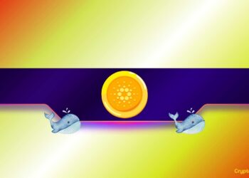 Will Cardano’s Price React to the Whales’ Selling Spree?