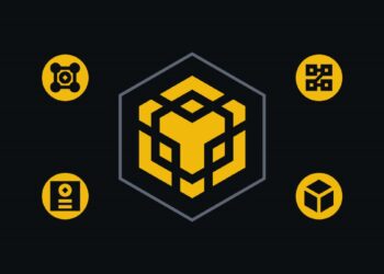 BNB Chain Tightens Access to Its $100M Project Fund