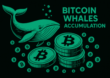 Bitcoin News: Massive Accumulation by Long-Term Holders Could Send BTC to $85K