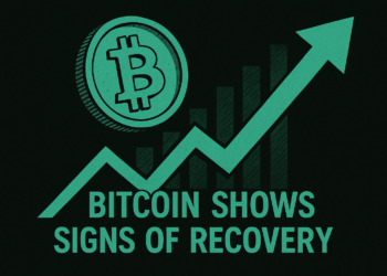 Bitcoin Shows Signs of Recovery: Is It the Start of a Real Trend or a Dead Cat Bounce?