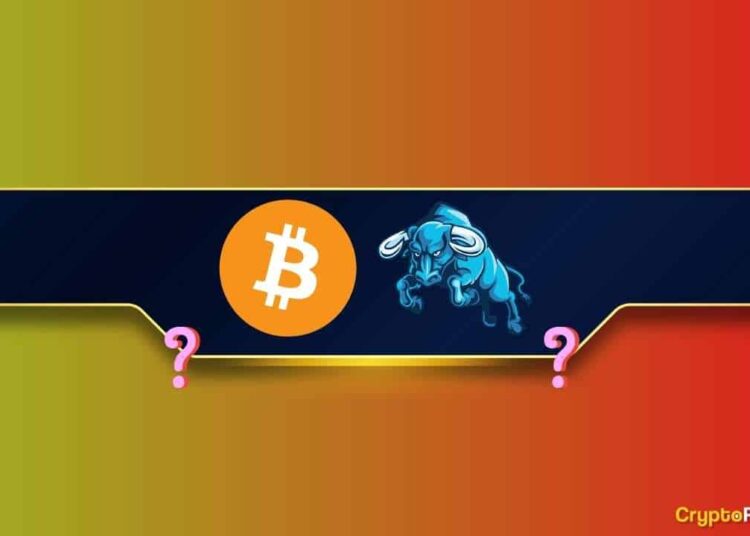 Is Bitcoin’s Bull Market Just Getting Started? This Crucial Metric Says So (Details)