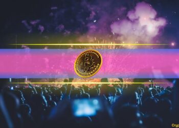 Retail FOMO Returns as Whales Accumulate