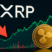 XRP Holders Accumulate as $55M Leaves Exchanges – Time to Buy?