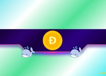 Is DOGE Poised for a Rally?
