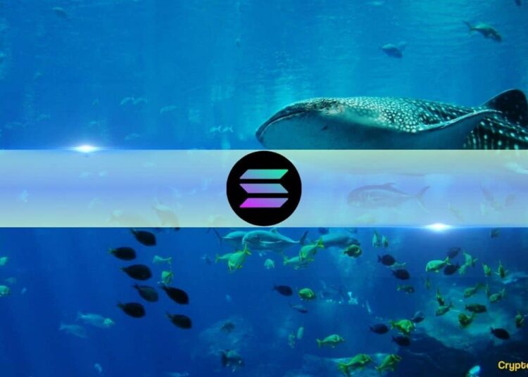 Solana Whales Dump SOL Amid Major Token Unlock 
