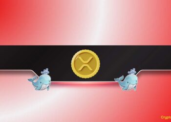 Are Ripple Whales Signaling a Major Market Shift?