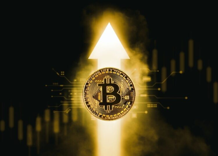 Bitcoin ETFs Hit Eighth Day of Successive Gains With $173 Million Inflow