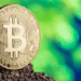 Green Bitcoin? Over 52% of Mining Now Uses Sustainable Energy