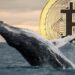 Cryptoquant Report Flags Stalled Whale Accumulation, Miner Pressure Hits Bitcoin