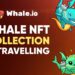 Whale NFT Collection Set to Make Waves With Historic TON-to-Solana Bridge