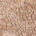 Ripple Deploys RLUSD in Kenya as Blockchain Aid Faces Real-World Drought Test