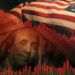 Robert Kiyosaki Sees Pain Ahead: Millions Face Job Losses as Trump and Musk Slash to Save US Dollar
