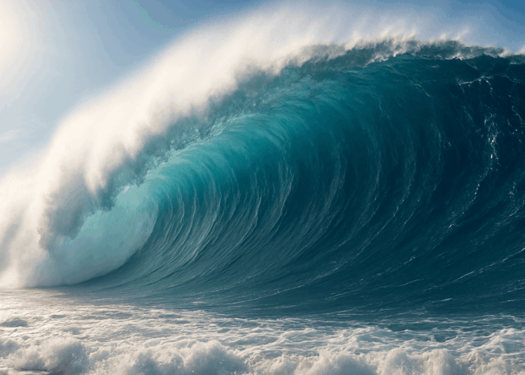 Tariff Tsunami: Economist Steve Hanke Predicts Rough Times for US Economy