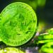 TRUMP Memecoin Craters As White House Tariff Announcements Batter the Crypto and Stock Markets