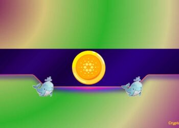 Whales Continue to Pile Up, So When a Cardano Surge?
