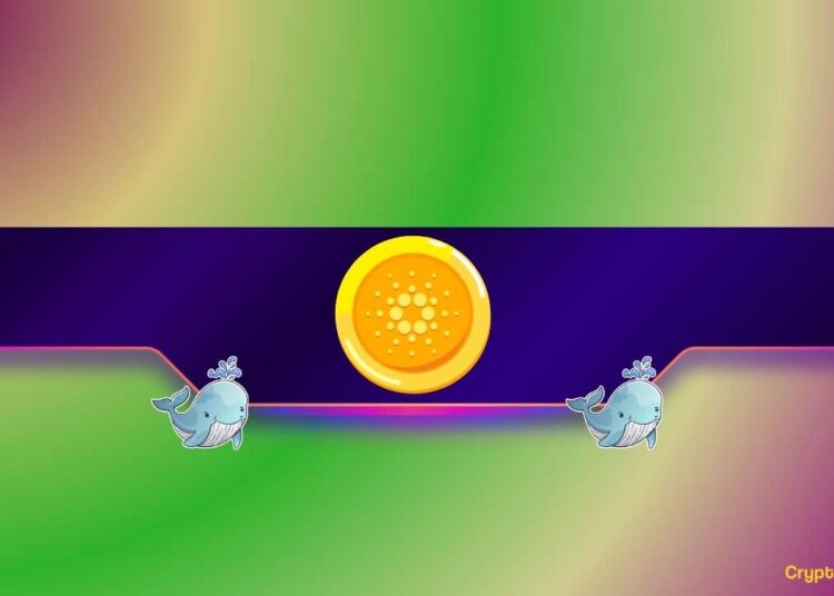 Whales Continue to Pile Up, So When a Cardano Surge?