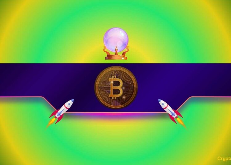 Important Bitcoin Metric Hits 6-Month High as BTC Price Prepares for Rebound