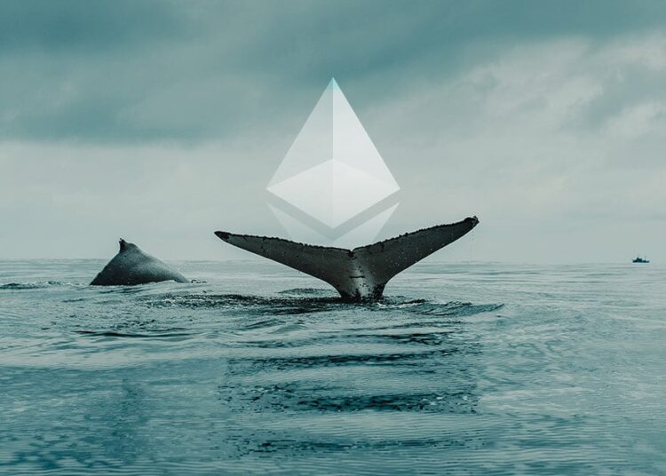 Popular Whale Loses Big Trading ETH and SUI This Week