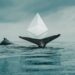 Popular Whale Loses Big Trading ETH and SUI This Week