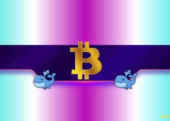 How Will Bitcoin’s Price React?