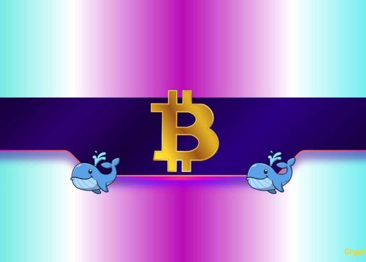 How Will Bitcoin’s Price React?