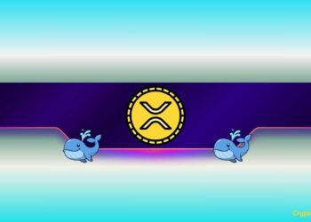 What Do Ripple Whales Know?