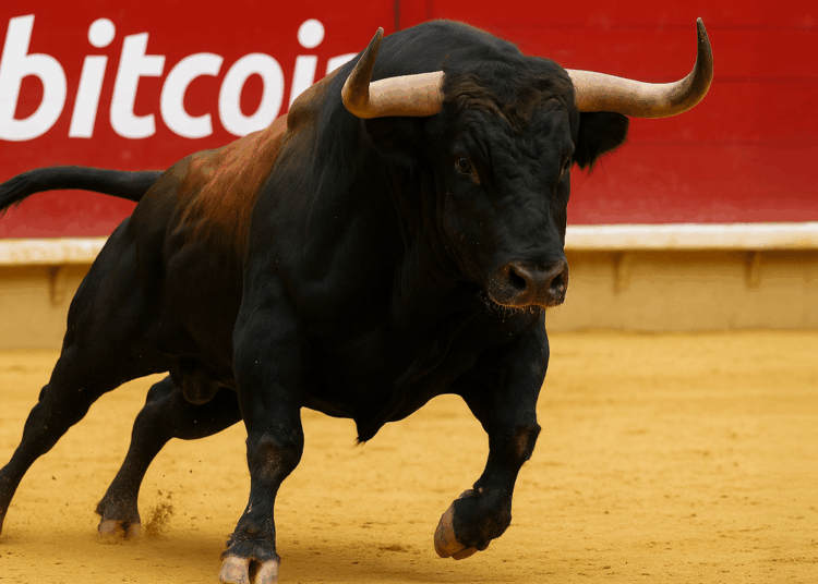 Bitcoin Price Charges Into New Territory, Fueled by ETF Frenzy and Soft Inflation